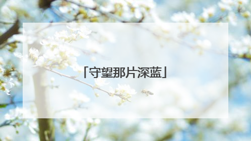 守望那片深蓝