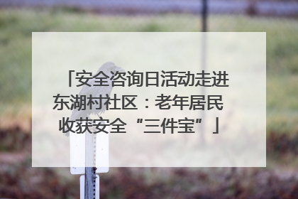 安全咨询日活动走进东湖村社区：老年居民收获安全“三件宝”