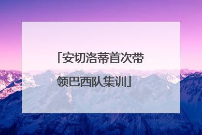 安切洛蒂首次带领巴西队集训