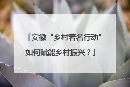 安徽“乡村著名行动”如何赋能乡村振兴？