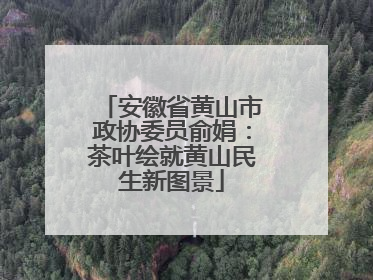 安徽省黄山市政协委员俞娟：茶叶绘就黄山民生新图景