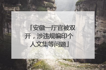 安徽一厅官被双开，涉违规编印个人文集等问题