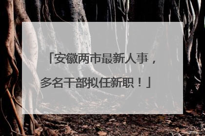 安徽两市最新人事，多名干部拟任新职！