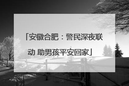 安徽合肥：警民深夜联动 助男孩平安回家