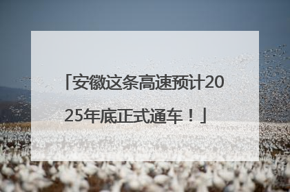 安徽这条高速预计2025年底正式通车！