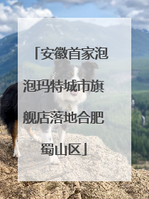 安徽首家泡泡玛特城市旗舰店落地合肥蜀山区