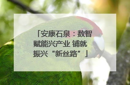安康石泉：数智赋能兴产业 铺就振兴“新丝路”