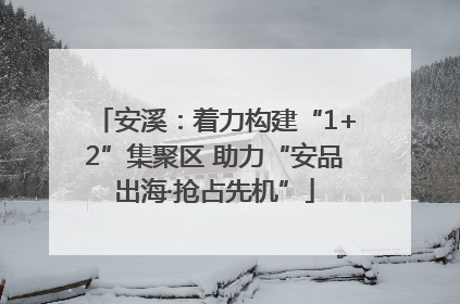 安溪：着力构建“1+2”集聚区 助力“安品出海·抢占先机”