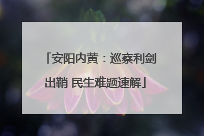 安阳内黄：巡察利剑出鞘 民生难题速解