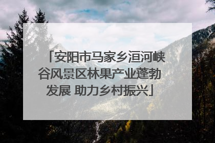 安阳市马家乡洹河峡谷风景区林果产业蓬勃发展 助力乡村振兴