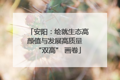 安阳：绘就生态高颜值与发展高质量 “双高” 画卷