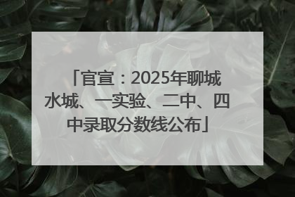 官宣：2025年聊城水城、一实验、二中、四中录取分数线公布