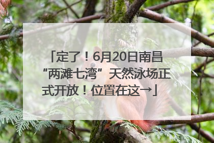定了！6月20日南昌“两滩七湾”天然泳场正式开放！位置在这→