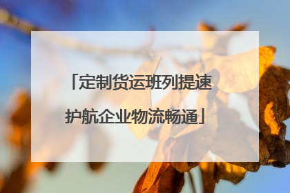 定制货运班列提速 护航企业物流畅通