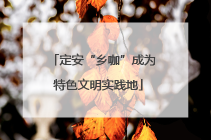 定安“乡咖”成为特色文明实践地
