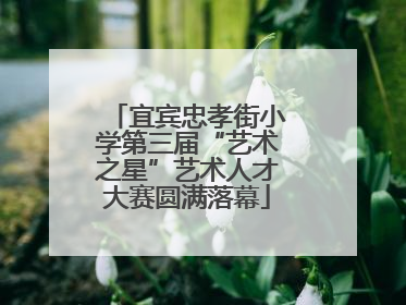 宜宾忠孝街小学第三届“艺术之星”艺术人才大赛圆满落幕