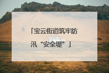 宝云街道筑牢防汛“安全堤”