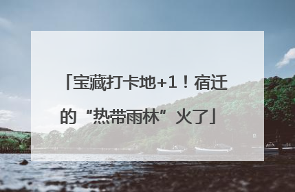 宝藏打卡地+1！宿迁的“热带雨林”火了