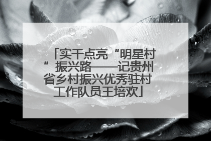 实干点亮“明星村”振兴路——记贵州省乡村振兴优秀驻村工作队员王培欢
