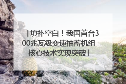 填补空白！我国首台300兆瓦级变速抽蓄机组核心技术实现突破