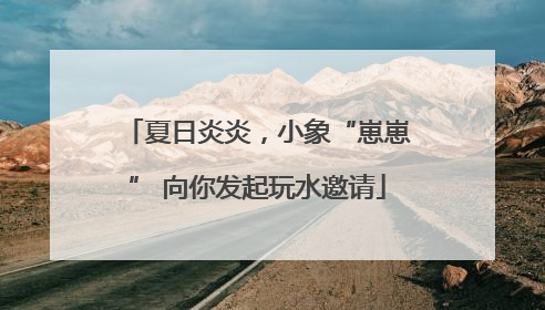 夏日炎炎，小象“崽崽” 向你发起玩水邀请