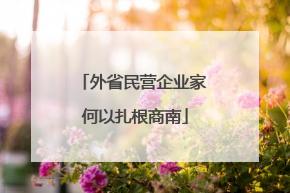 外省民营企业家何以扎根商南