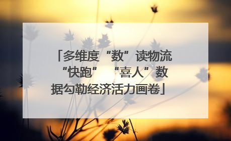 多维度“数”读物流“快跑” “喜人”数据勾勒经济活力画卷
