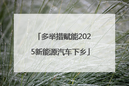 多举措赋能2025新能源汽车下乡