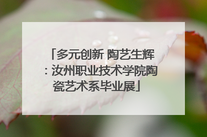 多元创新 陶艺生辉：汝州职业技术学院陶瓷艺术系毕业展