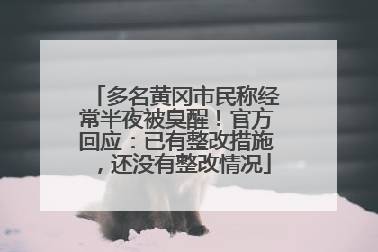 多名黄冈市民称经常半夜被臭醒！官方回应：已有整改措施，还没有整改情况