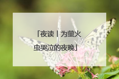 夜读丨为萤火虫哭泣的夜晚