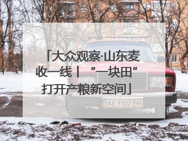 大众观察·山东麦收一线丨“一块田”打开产粮新空间