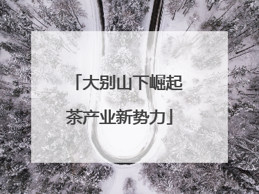 大别山下崛起茶产业新势力