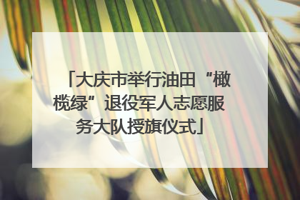 大庆市举行油田“橄榄绿”退役军人志愿服务大队授旗仪式