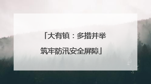 大有镇：多措并举筑牢防汛安全屏障
