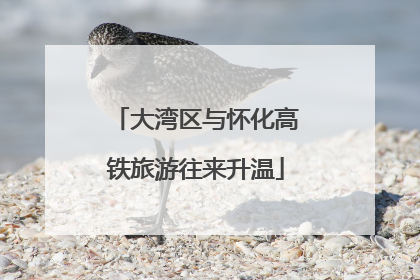 大湾区与怀化高铁旅游往来升温