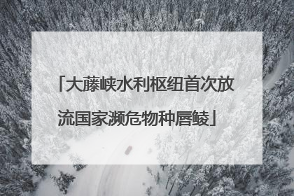 大藤峡水利枢纽首次放流国家濒危物种唇鲮