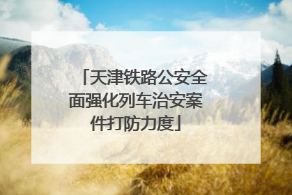 天津铁路公安全面强化列车治安案件打防力度