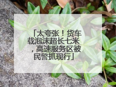 太夸张！货车载泡沫超长七米，高速服务区被民警抓现行