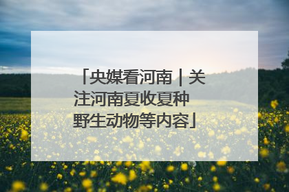 央媒看河南｜关注河南夏收夏种 野生动物等内容