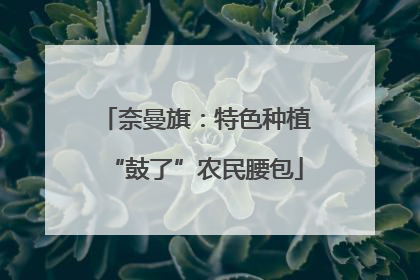 奈曼旗：特色种植“鼓了”农民腰包