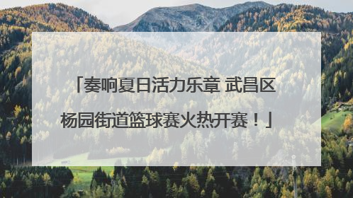 奏响夏日活力乐章 武昌区杨园街道篮球赛火热开赛！