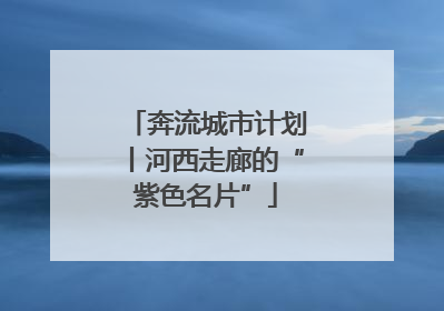 奔流城市计划丨河西走廊的“紫色名片”