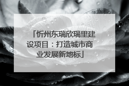 忻州东瑞欣瑞里建设项目：打造城市商业发展新地标