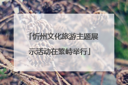 忻州文化旅游主题展示活动在繁峙举行