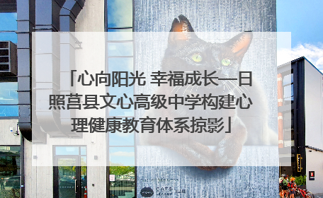 心向阳光 幸福成长—日照莒县文心高级中学构建心理健康教育体系掠影