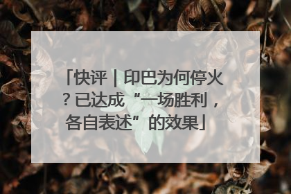 快评｜印巴为何停火？已达成“一场胜利，各自表述”的效果