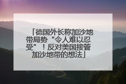 德国外长称加沙地带局势“令人难以忍受”！反对美国接管加沙地带的想法