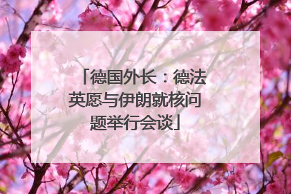 德国外长：德法英愿与伊朗就核问题举行会谈