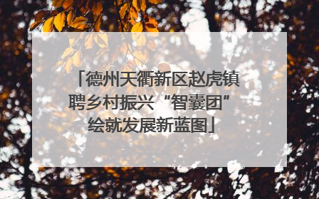 德州天衢新区赵虎镇聘乡村振兴“智囊团” 绘就发展新蓝图